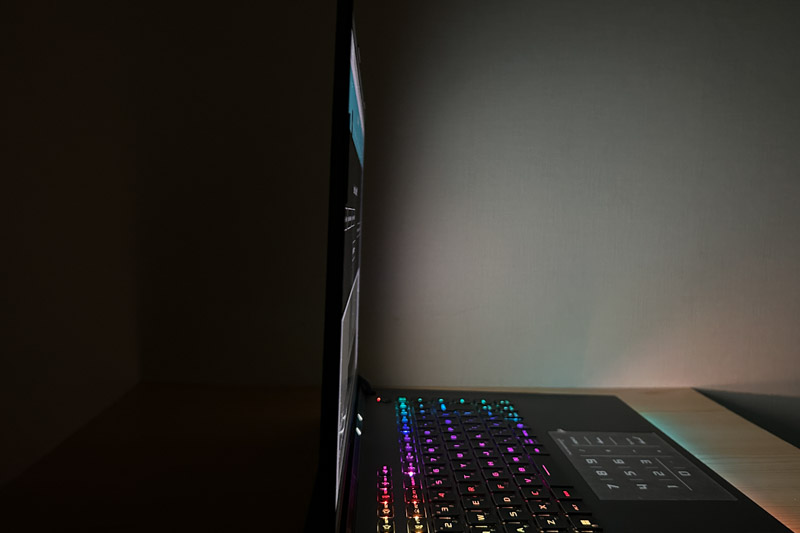 ASUS ROG Strix G16 (2025) G614 視野角のチェック