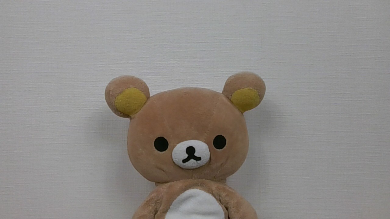 Vaio S13　HD Webカメラで撮影した写真