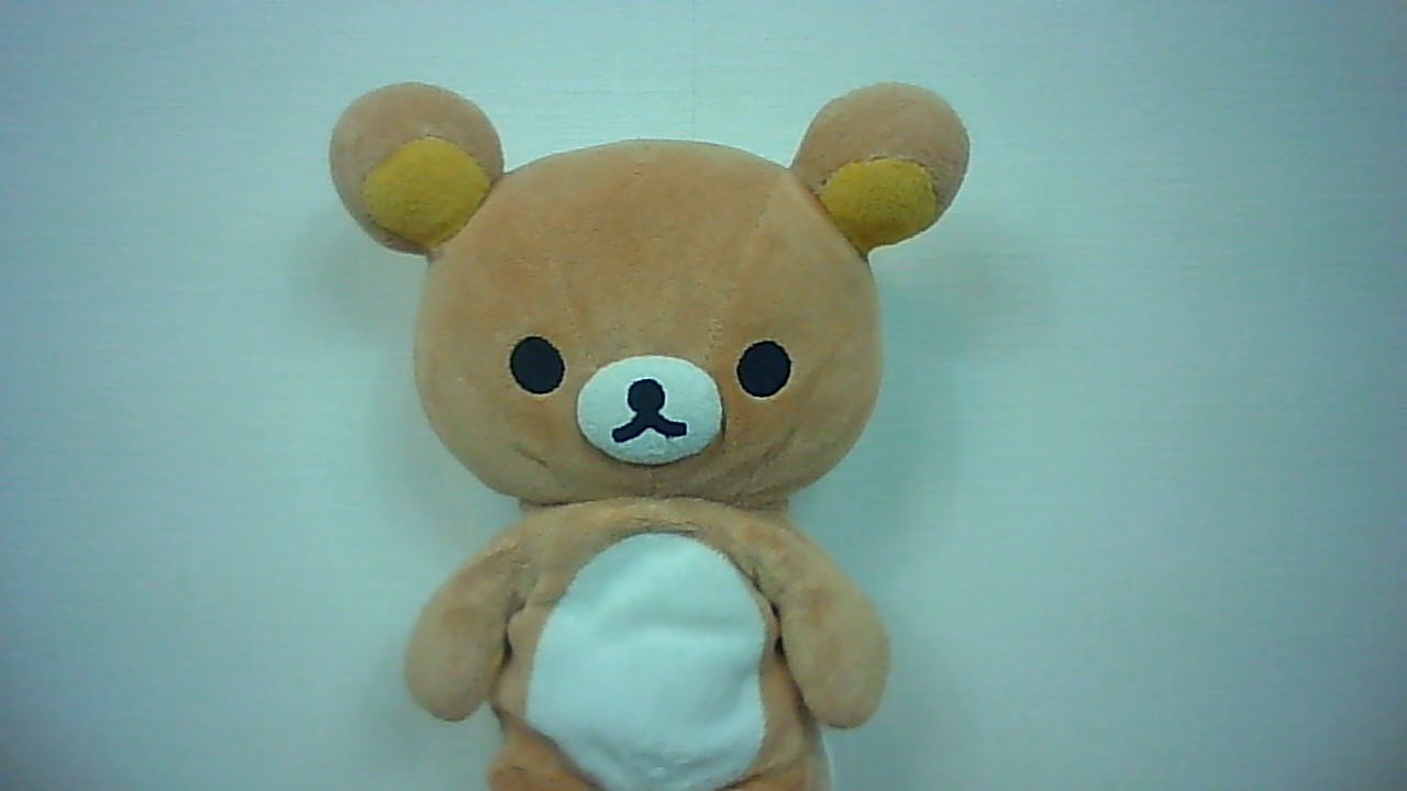 ACEMAGIC LX15Pro Webカメラで撮影