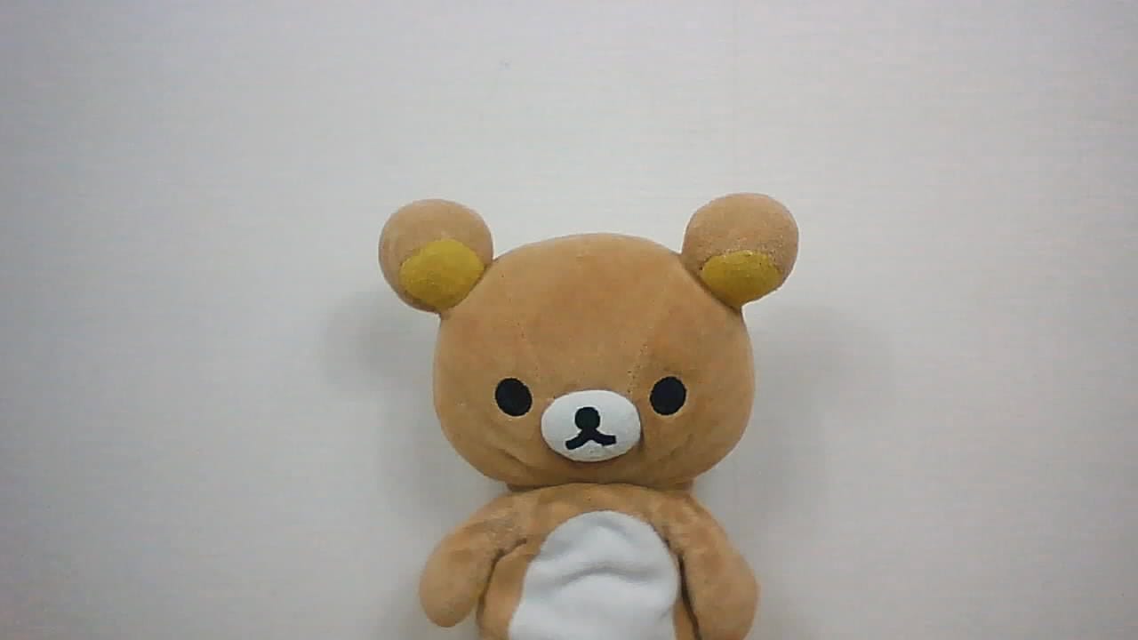 ACEMAGIC LX15ProのWebカメラで撮影