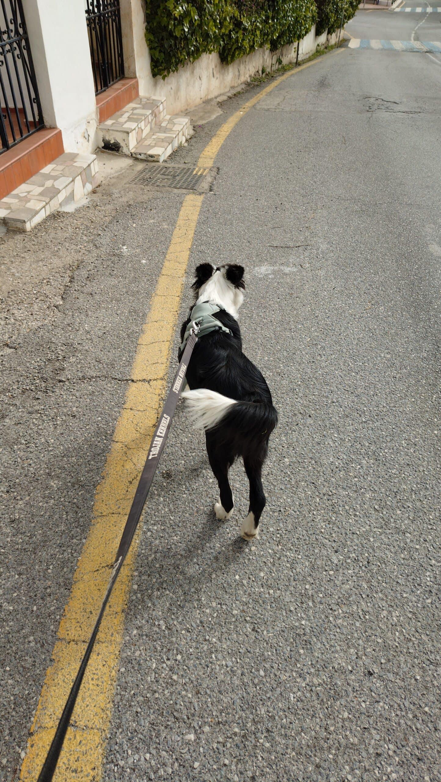 Xperia 10 VII オートフォーカスの挙動