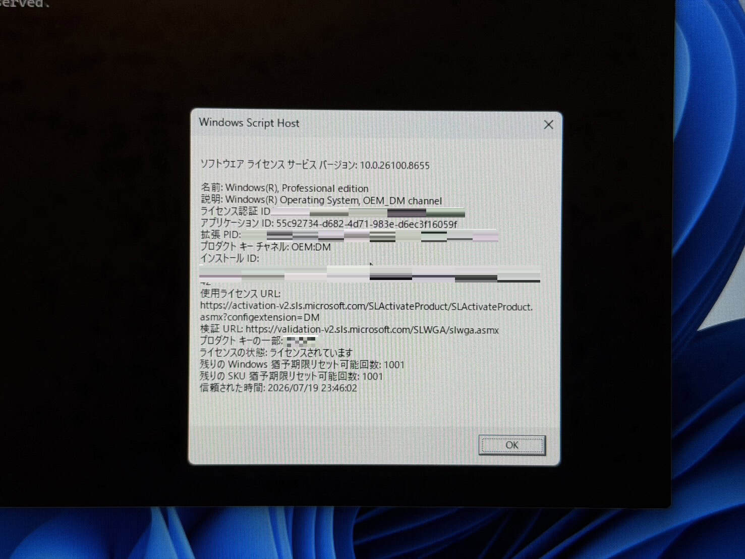 NiPoGi E3BのOSはOEM
