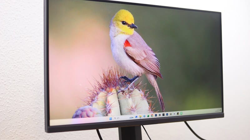 6+1軸彩度調整の確認画像。赤最大