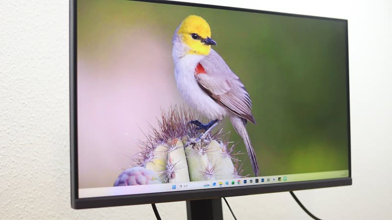 6+1軸彩度調整の確認画像。黄色最大