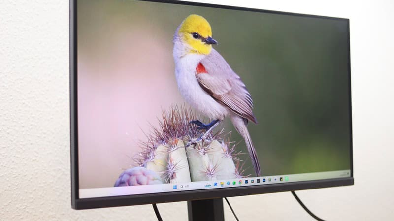 6+1軸彩度調整の確認画像。緑最大